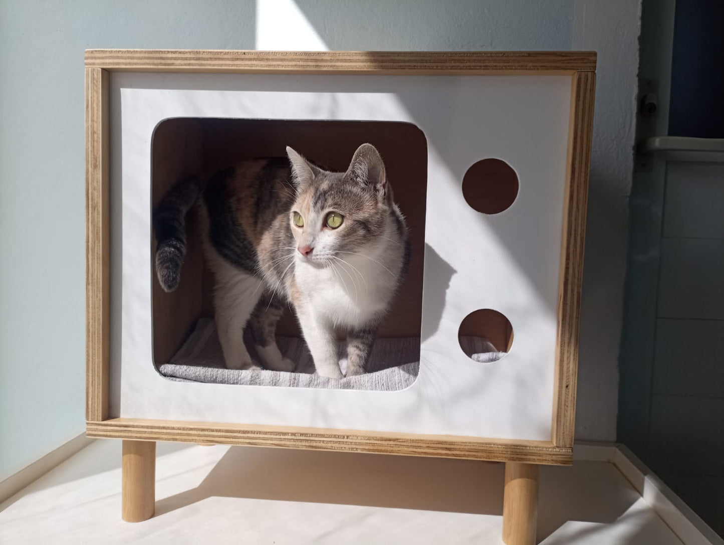 Cama para gato TV